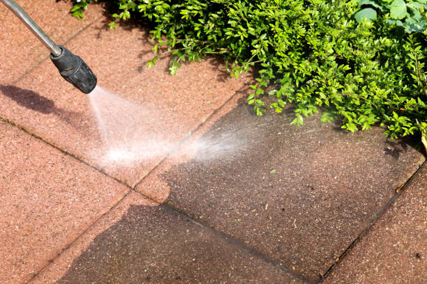 Best Best Pressure Washing Companies  in Atmore, AL